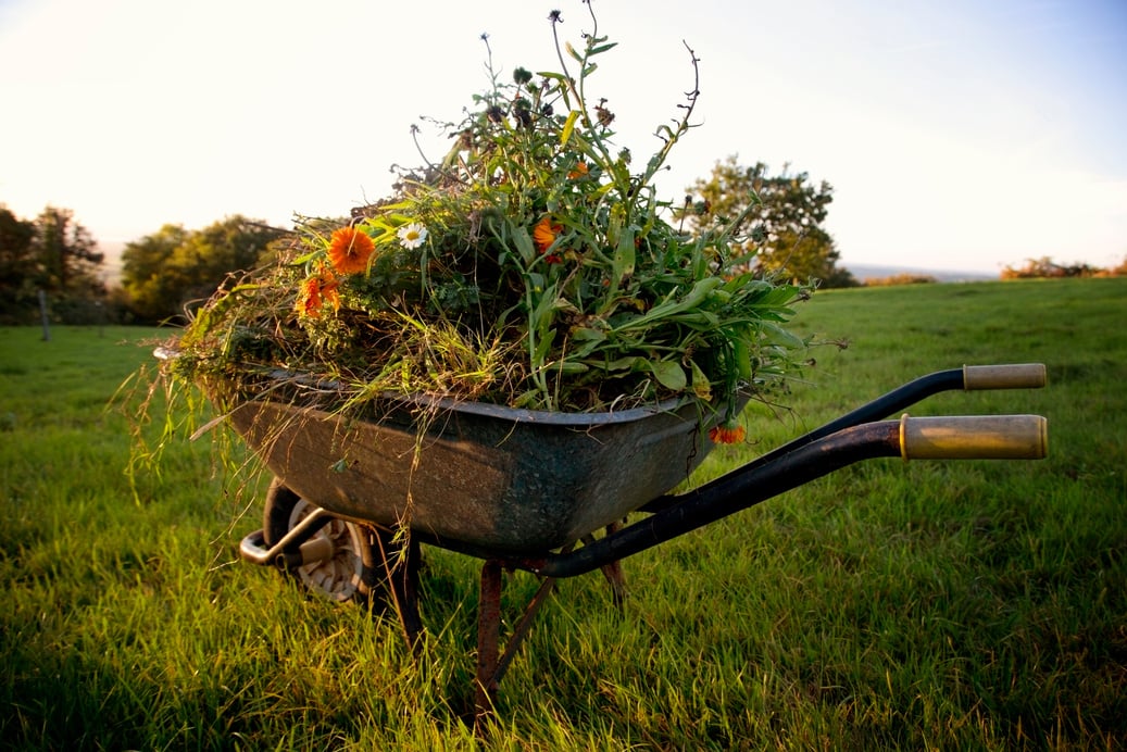 wheel-barrow full of garden waste